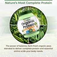 Vlado Himalayan Organics Plant Protein Powder – 28g Protein, 5g BCAA | Organic Pea Protein | Vegan, Clean, Unflavoured, 500 gm