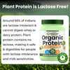 Vlado Himalayan Organics Plant Protein Powder – 28g Protein, 5g BCAA | Organic Pea Protein | Vegan, Clean, Unflavoured, 500 gm