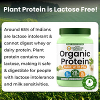 Vlado Himalayan Organics Plant Protein Powder – 28g Protein, 5g BCAA | Organic Pea Protein | Vegan, Clean, Unflavoured, 500 gm
