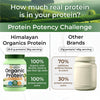 Vlado Himalayan Organics Plant Protein Powder – 28g Protein, 5g BCAA | Organic Pea Protein | Vegan, Clean, Unflavoured, 500 gm