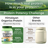 Vlado Himalayan Organics Plant Protein Powder – 28g Protein, 5g BCAA | Organic Pea Protein | Vegan, Clean, Unflavoured, 500 gm