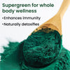 Vlado's Himalayan Organics Spirulina Superfood Powder â€“ 100 gm