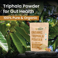 Vlado's Himalayan Organics Triphala Churna Powder – 100 gm