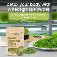 Vlado's Himalayan Organics Wheatgrass Detox Powder – 100 gm