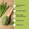 Vlado's Himalayan Organics Wheatgrass Detox Powder – 100 gm
