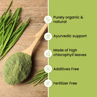 Vlado's Himalayan Organics Wheatgrass Detox Powder – 100 gm