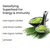 Vlado's Himalayan Organics Wheatgrass Detox Powder – 100 gm