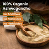 Vlado's Himalayan Organics Ashwagandha Vitality Powder – 100 gm
