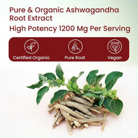 Vlado's Himalayan Organics Ashwagandha 1200mg Tablets Withania Somnifera 60 Tablets
