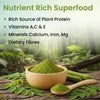 Vlado's Himalayan Organics Moringa 1200mg Tablets Moringa Leaves Extract 60 Tablets