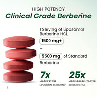 Vlado's Himalayan Organics Liposomal Berberine HCL Plus 1500mg Tablets 60 Tablets