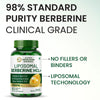Vlado's Himalayan Organics Liposomal Berberine HCL Plus 1500mg Tablets 60 Tablets