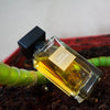 La French Spicy Cocktail Perfumes for Men & Women 100ml