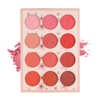Lyon Beauty USA FACE AND EYESHADOW MAKEUP PALETTE 111.5 gm