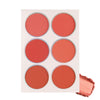 Lyon Beauty USA PROFESSIONAL ARTISTRY PALETTE 16 gm