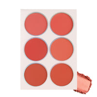 Lyon Beauty USA PROFESSIONAL ARTISTRY PALETTE 16 gm