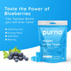 Purna Gummies Biotin Blueberry Gummies