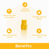 Purna Gummies All The Glitters Multivitamin Mango Flavor 30 Gummies