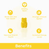 Purna Vitamin C Lemon Flavor 30 Gummies for Skin and Immunity Booster with Vitamin C D3 Zinc Supplement