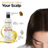 Protouch LED Hair Comb & Hair Growth Oil Combo for Hair Fall & Dandruff Pack of 3