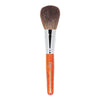C2P Pro Powder Brush Big 02