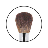 C2P Pro Powder Brush Big 02