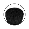 C2P Pro Body Polishing Brush