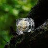 Mystique Earth Night Revival Cream Forest Persimmon And Mahua Butter 50 gm
