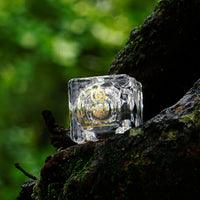 Mystique Earth Night Revival Cream Forest Persimmon And Mahua Butter 50 gm