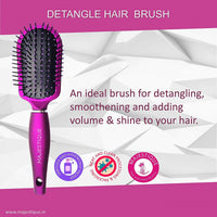 Majestique Oval Detangler Brush Purple 1 Piece