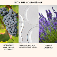 Skog Body Lotion (With Bordeaux Vine Grape Extract) 200 ml