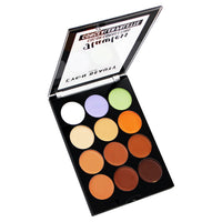 Lyon Beauty USA Flawless Color Correcting Concealer Palette 01 1 Piece