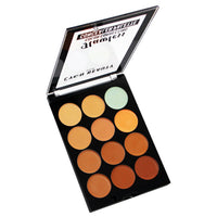 Lyon Beauty USA Flawless Color Correcting Concealer Palette 02 1 Piece