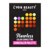 Lyon Beauty USA Flawless Color Correcting Concealer Palette 02 1 Piece