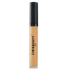 Lyon Beauty USA Perfect Coverage Liquid Concealer 01 Warm Sand 3.5 gm