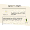 Mystique Earth Silk Serum Lotion White Lily And Mahua Butter 200 ml