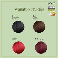 Neeta Fashion Color Kit Permanent Hair Color Burgundy 3.16
