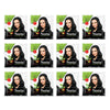 Neeta Hair Color Powder Natural Black 5g (Pack of 12) with Herbs for Smooth Silky Hair