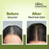 Nisha Hair Colour for Women Original Black 100% Henna-Based Powder Long-Lasting Herbal Formula Ammonia-Free 45g Zipper Pouch