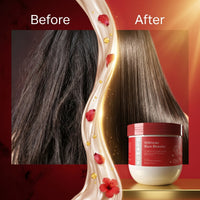 Olamor Hibiscus Hair Density 500GM