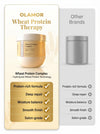 OLAMOR Wheat Protein Hair Tharapy