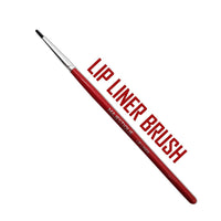 Majestique Lip Beautifier Kit Kit