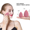 Majestique Beauty Blender Sponge Set with Egg Case 1 Piece