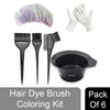 Majestique Hair Dye Brush Coloring Kit Kit
