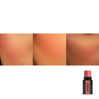 Renee Cosmetics 3 in 1 Makeup Stick Fab Face Diva
