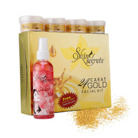 Skin Secrets 24 Carat Gold Facial Kit