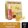 Skin Secrets 24 Carat Gold Facial Kit