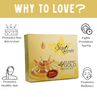 Skin Secrets 24 Carat Gold Facial Kit