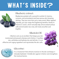 Skin Secrets Blueberry Purifying Skin Care Kit Age Refresh 410 gm