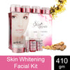 Skin Secrets Skin Whitening Facial Kit